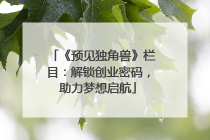 《预见独角兽》栏目：解锁创业密码，助力梦想启航