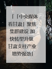 「中央媒体看甘肃」聚焦集群建设 加快转型升级 甘肃支柱产业增势强劲