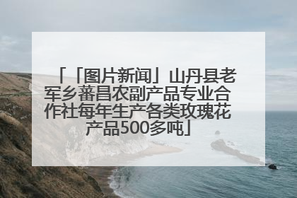 「图片新闻」山丹县老军乡蕃昌农副产品专业合作社每年生产各类玫瑰花产品500多吨