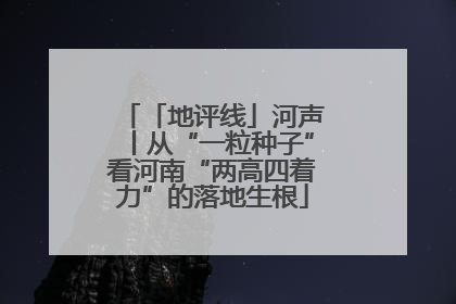 「地评线」河声丨从“一粒种子”看河南“两高四着力”的落地生根