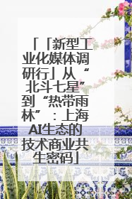 「新型工业化媒体调研行」从“北斗七星”到“热带雨林”：上海AI生态的技术商业共生密码