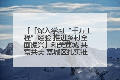 「深入学习“千万工程”经验 推进乡村全面振兴」和美荔城 共富共美 荔城区扎实推进乡村振兴工作