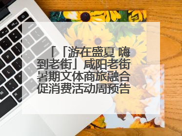 「游在盛夏 嗨到老街」咸阳老街暑期文体商旅融合促消费活动周预告来了！