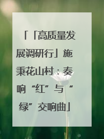 「高质量发展调研行」施秉花山村：奏响“红”与“绿”交响曲