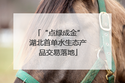 “点绿成金” 湖北首单水生态产品交易落地