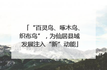 “百灵鸟、啄木鸟、织布鸟”，为仙居县域发展注入“新”动能