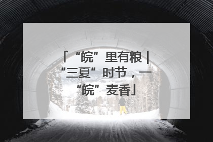 “皖”里有粮｜“三夏”时节，一“皖”麦香