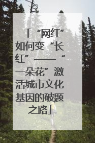 “网红”如何变“长红”——“一朵花”激活城市文化基因的破题之路