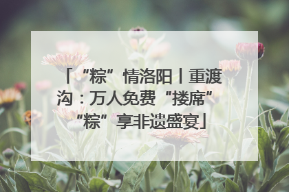“粽”情洛阳丨重渡沟：万人免费“搂席” “粽”享非遗盛宴