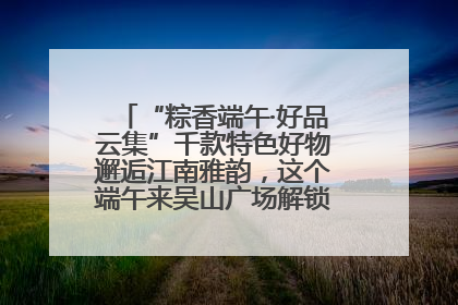 “粽香端午·好品云集”千款特色好物邂逅江南雅韵，这个端午来吴山广场解锁“浙里烟火气”