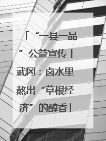 “一县一品”公益宣传丨武冈：卤水里熬出“草根经济”的醇香