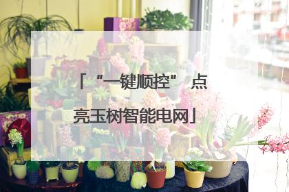 “一键顺控” 点亮玉树智能电网