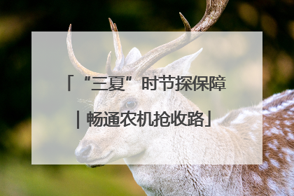“三夏”时节探保障｜畅通农机抢收路