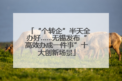 “个转企”半天全办好……无锡发布“高效办成一件事”十大创新场景