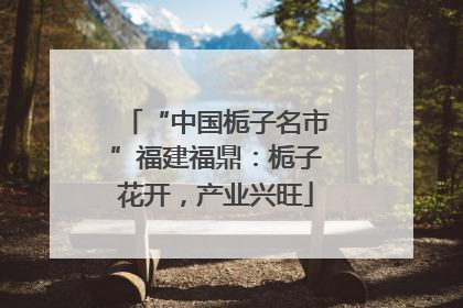 “中国栀子名市”福建福鼎：栀子花开，产业兴旺