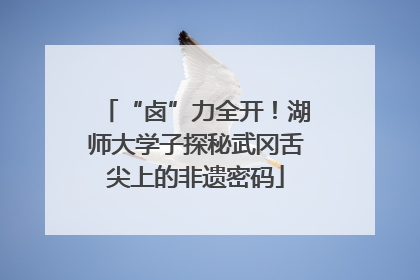“卤”力全开！湖师大学子探秘武冈舌尖上的非遗密码