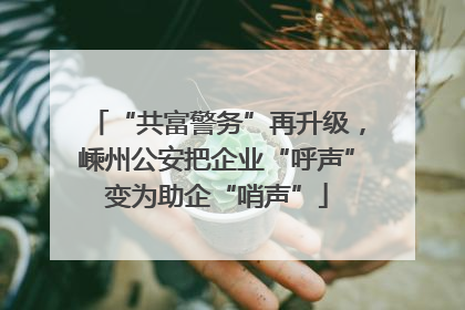 “共富警务”再升级，嵊州公安把企业“呼声”变为助企“哨声”
