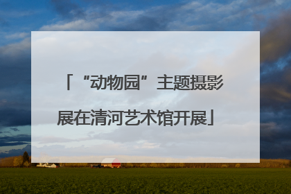 “动物园”主题摄影展在清河艺术馆开展