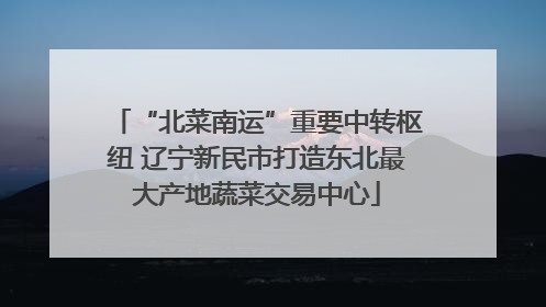 “北菜南运”重要中转枢纽 辽宁新民市打造东北最大产地蔬菜交易中心