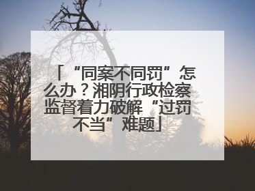 “同案不同罚”怎么办？湘阴行政检察监督着力破解“过罚不当”难题
