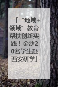 “地域+领域”教育帮扶创新实践！金沙20名学生赴西安研学