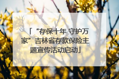 “存保十年 守护万家”吉林省存款保险主题宣传活动启动