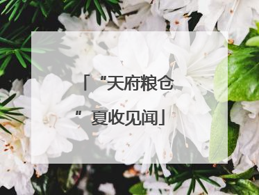 “天府粮仓”夏收见闻