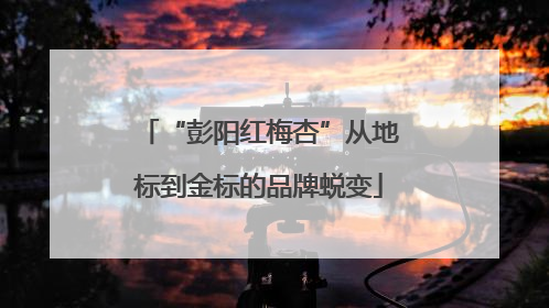 “彭阳红梅杏”从地标到金标的品牌蜕变