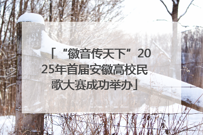 “徽音传天下”2025年首届安徽高校民歌大赛成功举办