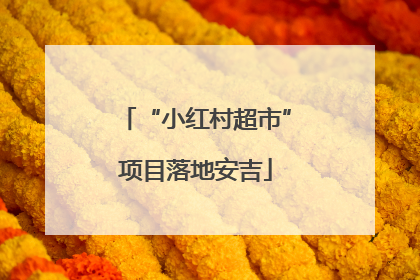 “小红村超市”项目落地安吉
