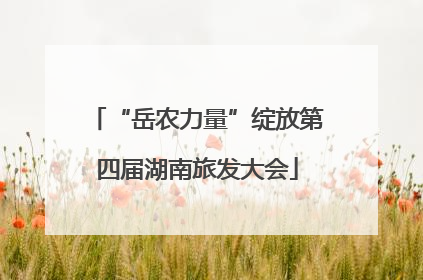 “岳农力量”绽放第四届湖南旅发大会