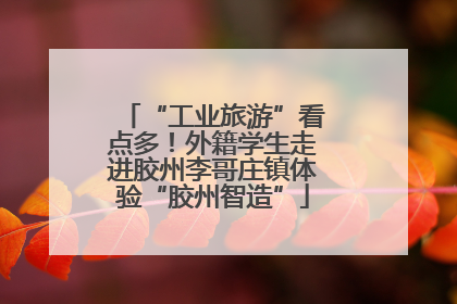 “工业旅游”看点多！外籍学生走进胶州李哥庄镇体验“胶州智造”