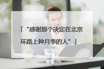 “感谢那个决定在北京环路上种月季的人”