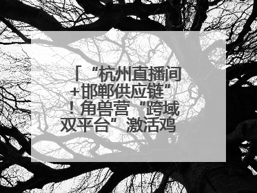 “杭州直播间+邯郸供应链”！角兽营“跨域双平台”激活鸡泽产业新动能