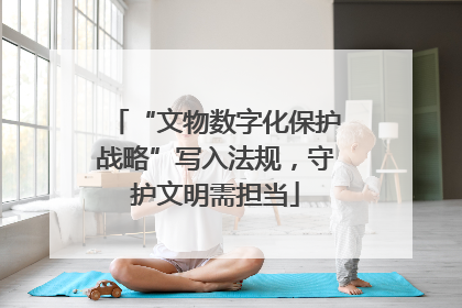 “文物数字化保护战略”写入法规，守护文明需担当