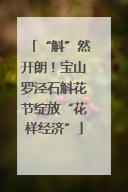 “斛”然开朗！宝山罗泾石斛花节绽放“花样经济”