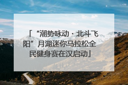 “潮势咏动・北斗飞阳”月湖迷你马拉松全民健身赛在汉启动