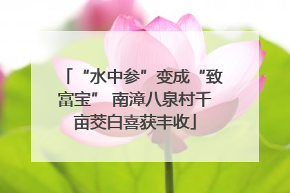 “水中参”变成“致富宝” 南漳八泉村千亩茭白喜获丰收