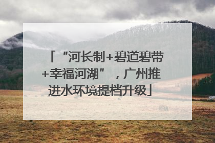 “河长制+碧道碧带+幸福河湖”，广州推进水环境提档升级