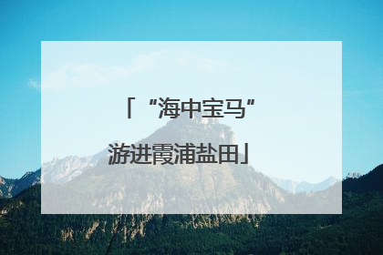 “海中宝马”游进霞浦盐田