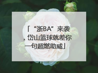 “浙BA”来袭，岱山篮球就差你一句超燃助威