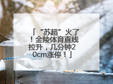 “苏超”火了！金陵体育直线拉升，几分钟20cm涨停！