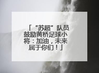 “苏超”队员鼓励黄桥足球小将：加油，未来属于你们！