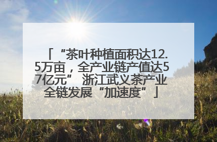 “茶叶种植面积达12.5万亩，全产业链产值达57亿元” 浙江武义茶产业全链发展“加速度”