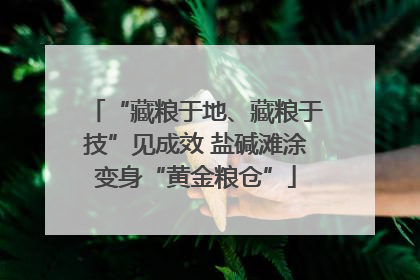 “藏粮于地、藏粮于技”见成效 盐碱滩涂变身“黄金粮仓”