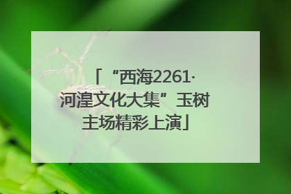 “西海2261·河湟文化大集”玉树主场精彩上演