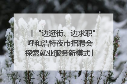 “边逛街、边求职” 呼和浩特夜市招聘会探索就业服务新模式