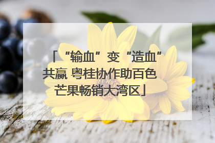 “输血”变“造血”共赢 粤桂协作助百色芒果畅销大湾区