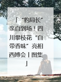 “豹局长”亲自到场！四川攀枝花“自带香味”亮相西博会丨图集