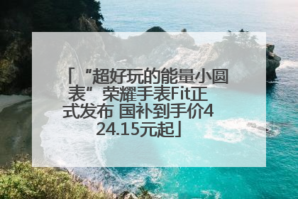 “超好玩的能量小圆表”荣耀手表Fit正式发布 国补到手价424.15元起